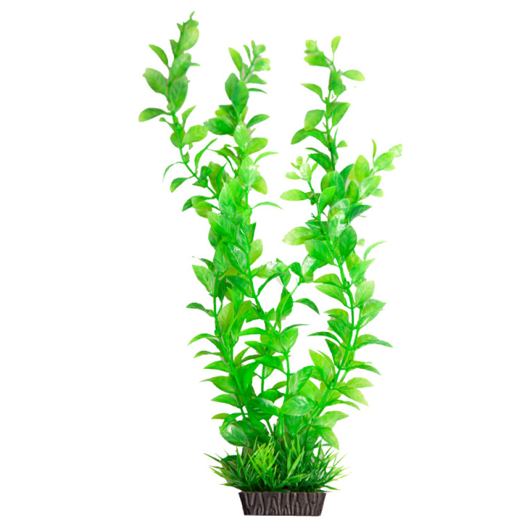 Aqua One Ecoscape Hygro Green