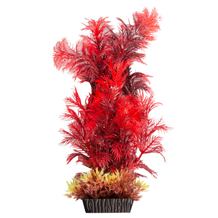 Aqua One Ecoscape Cabomba Red