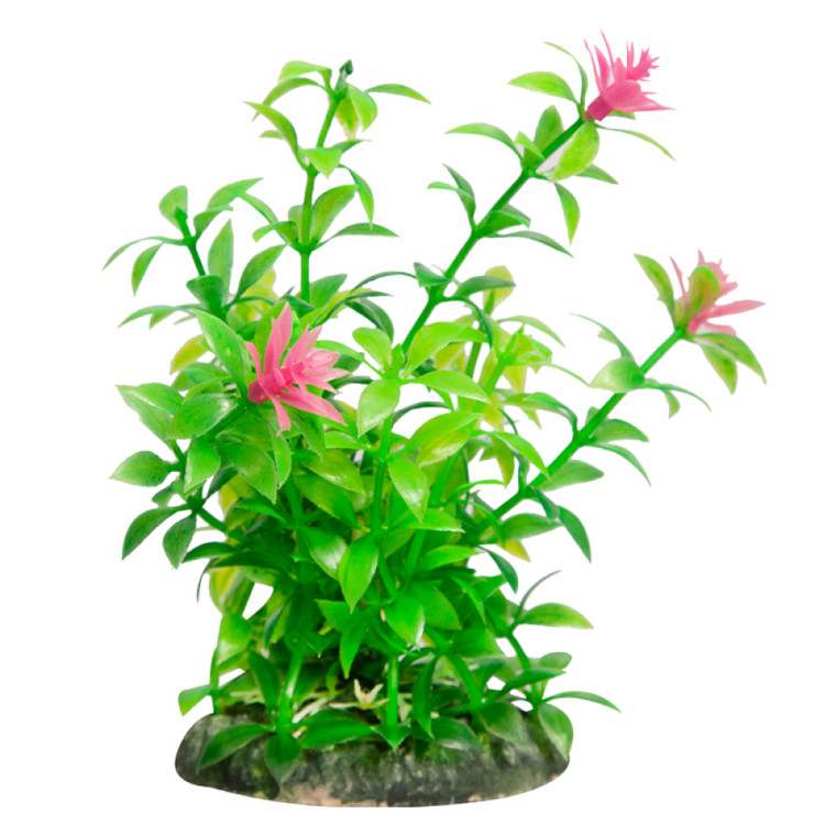 Aqua One Ecoscape Small Ludwigia Green