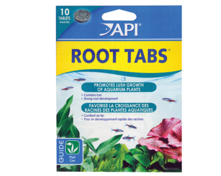 API Root Tabs