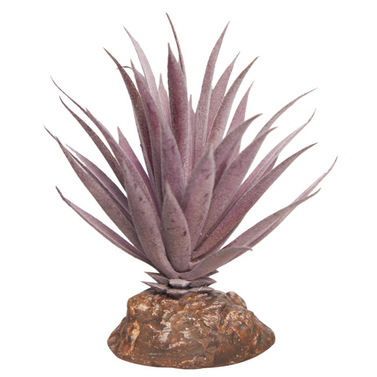 Reptile One Mini Ionantha Red With Ceramic Base