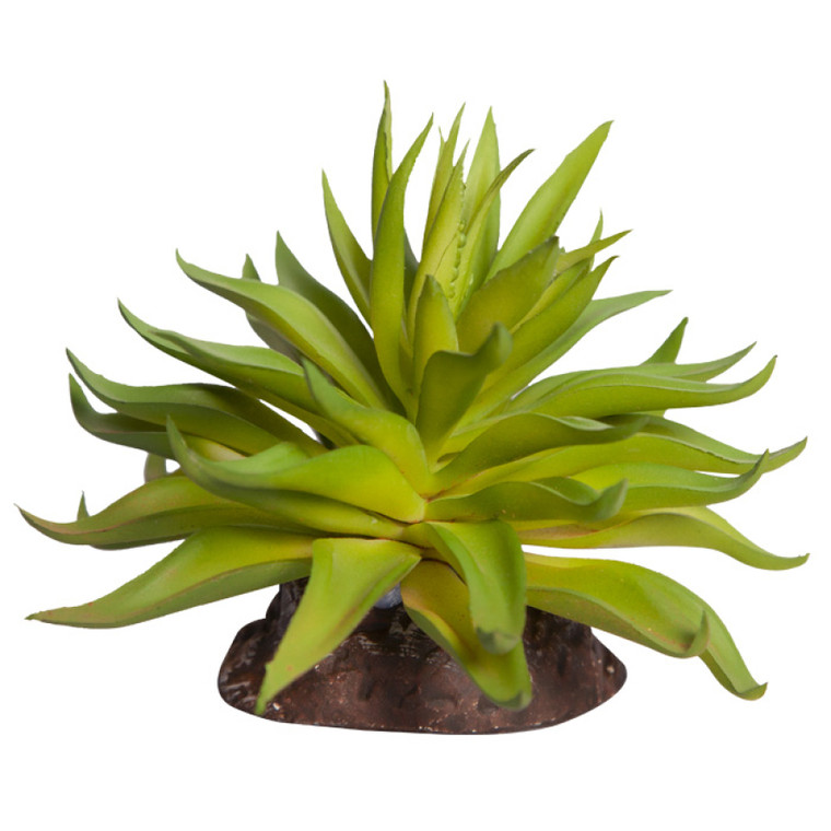 Reptile One Mini Carpobrotus Green With Ceramic Base