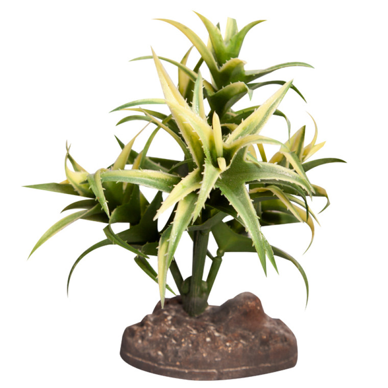 Reptile One Flexuosa Green With Ceramic Base