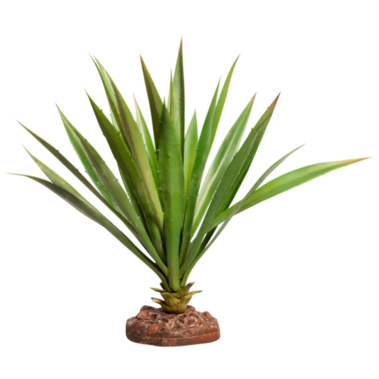 Reptile One Succotrina Green With Ceramic Base