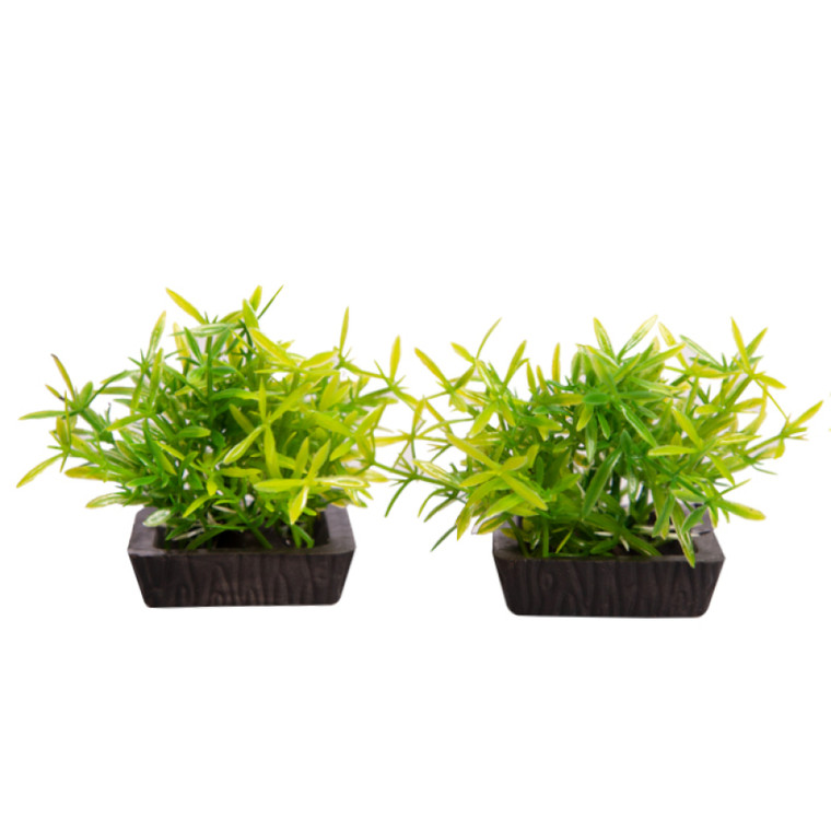 Aqua One Ecoscape Foreground Plants