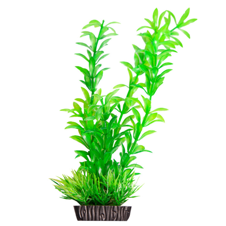 Aqua One Ecoscape Ludwigia Green