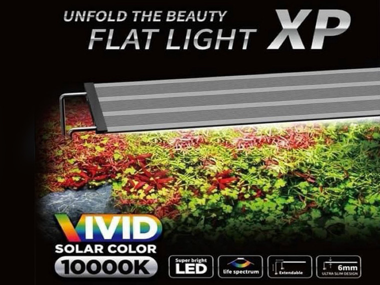 Neo Helios Flat XP Series
