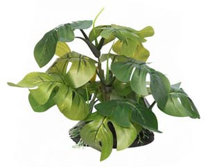 Aqua One Silk Plant Large Green Leaf On Rock Md 23x19x13cm