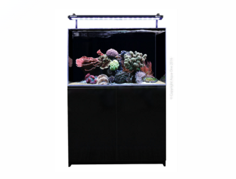 Aqua One MiniReef 160 Marine Set Black