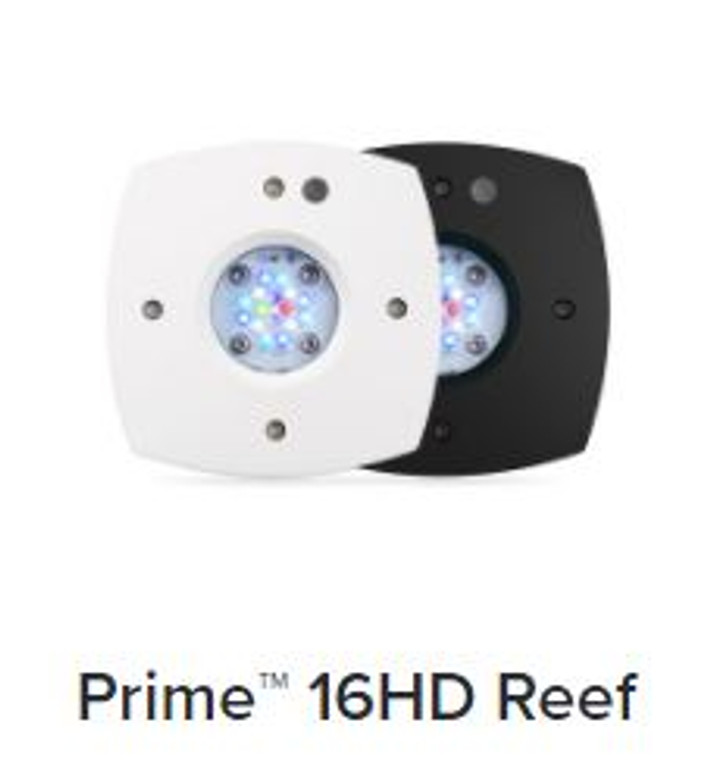 AI Prime 16HD Reef Black