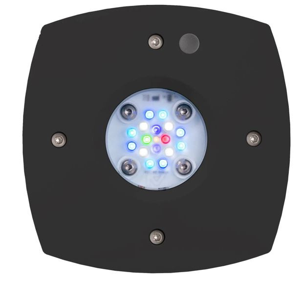 AI Prime 16HD Reef Black