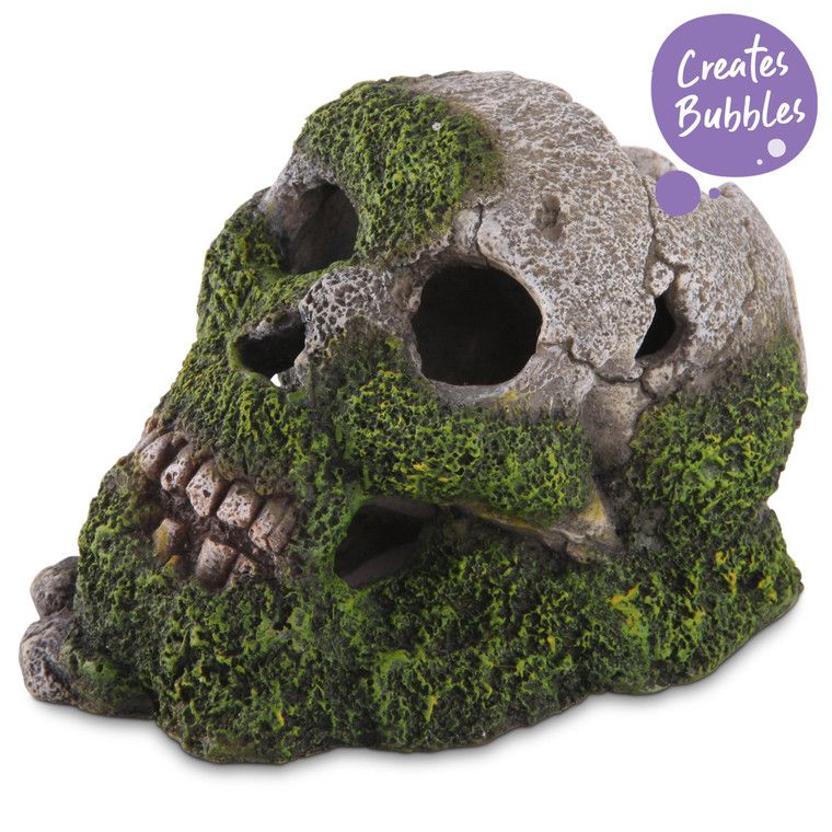 Kazoo Bubbling Skull with Moss Medium