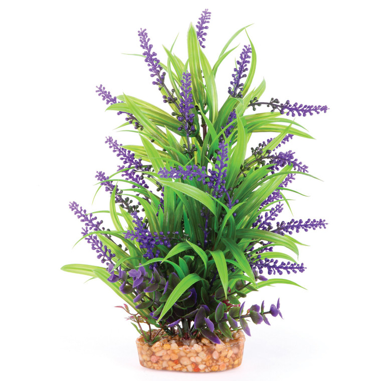 Kazoo Combo Plant Thin Leaf with Purple Flower