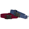Nylon Dog Collars Group dogIDs Nylon Dog Collars Group dogIDs