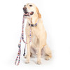 Pendleton Eco-Friendly Adventure Leash Pendleton Eco-Friendly Adventure Leash
