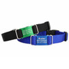 black and blue dog collars with name tag attached black and blue dog collars with name tag attached