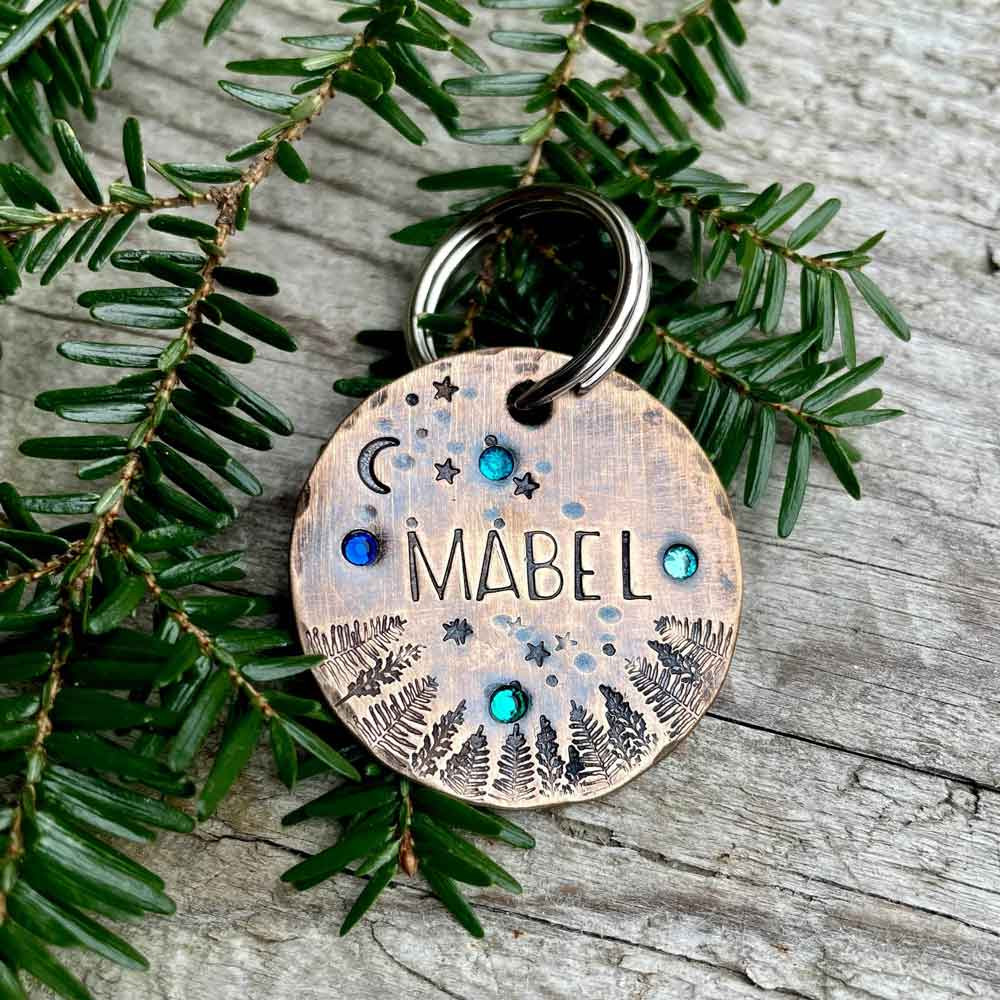 Handmade Crystal Northern Lights Pet ID Tag | dogIDs