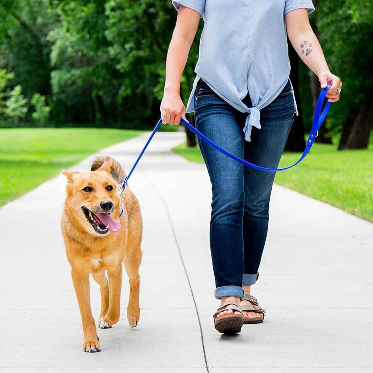 Waterproof Dog Leash With Rubber Grip | dogIDs