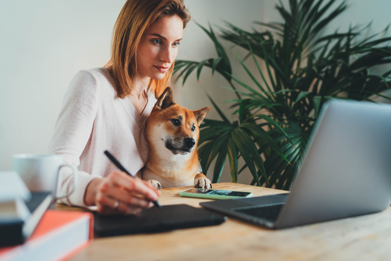 Bring Therapy Dogs To Your Business Today!