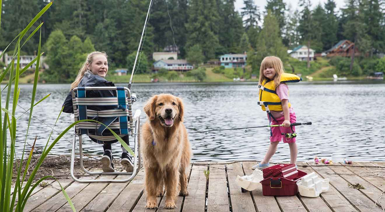 Tips to Keep Your Dog Safe at the Lake