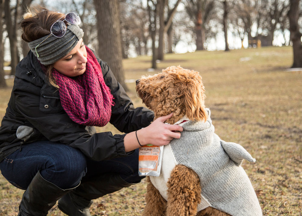 How To Get The Perfect Picture Of Your Dog