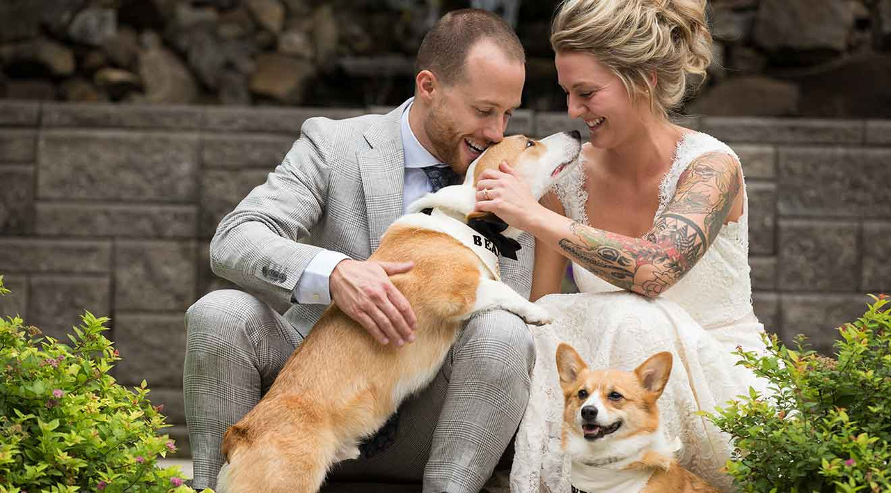 Tips for Including Your Dog In Your Wedding