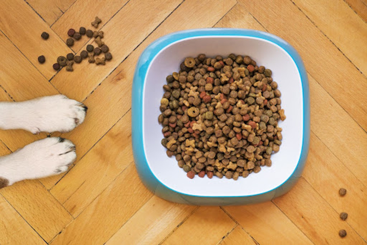 6 Ways to Boost Your Dog’s Mealtime