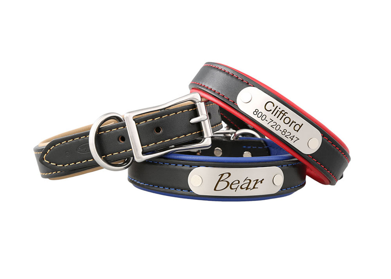 How to Attach a Riveton Nameplate to a Dog Collar dogIDs