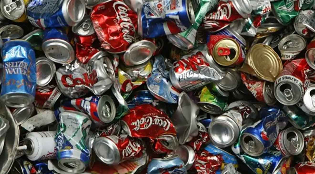 Dog Fans Recycle Cans