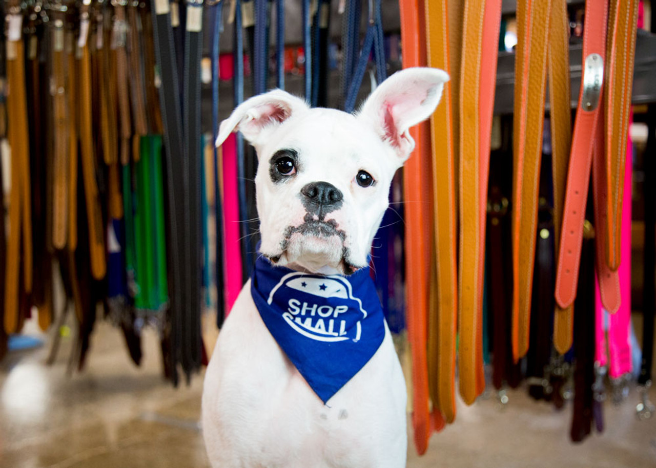 Shop Small this Saturday with dogIDs