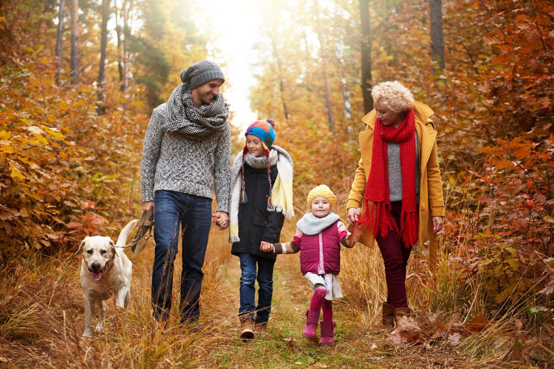 January is Walk Your Dog Month January is Walk Your Dog Month