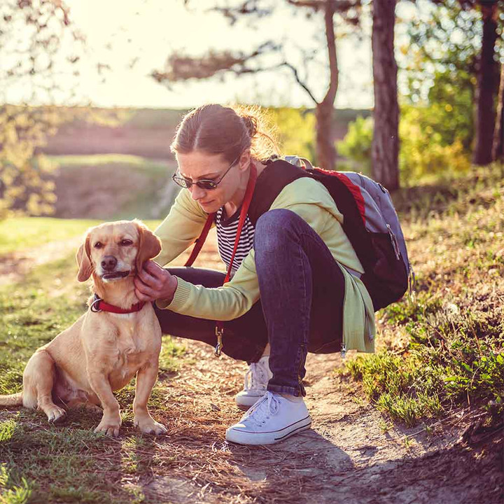 How To Keep Your Pet Safe From Ticks