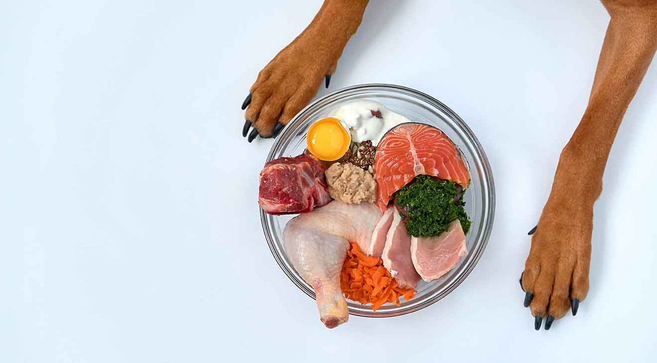 How to Transition Your Dog to a Raw Diet How to Transition Your Dog to a Raw Diet