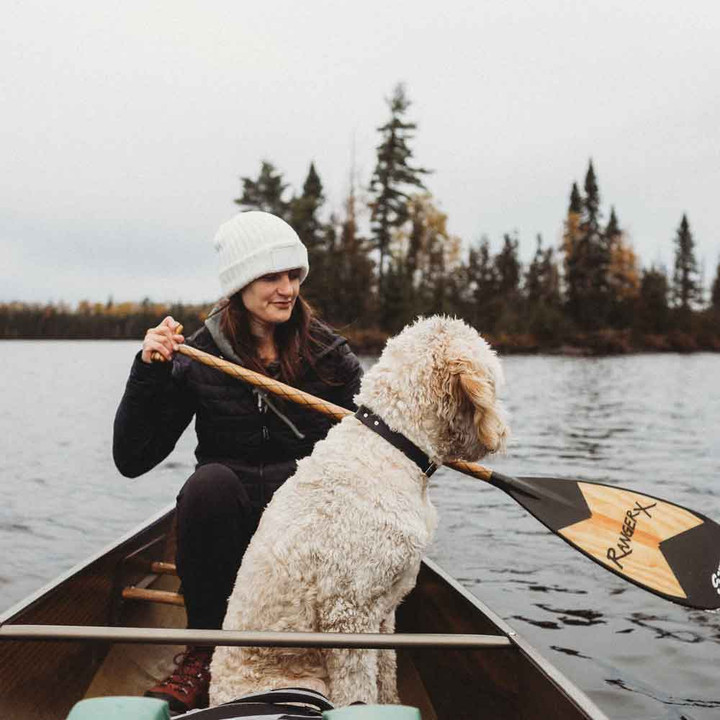 Preparing Your Dog for Boating and Water Play