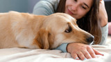 How Long Are Dogs Pregnant - Tips for Care & Safety