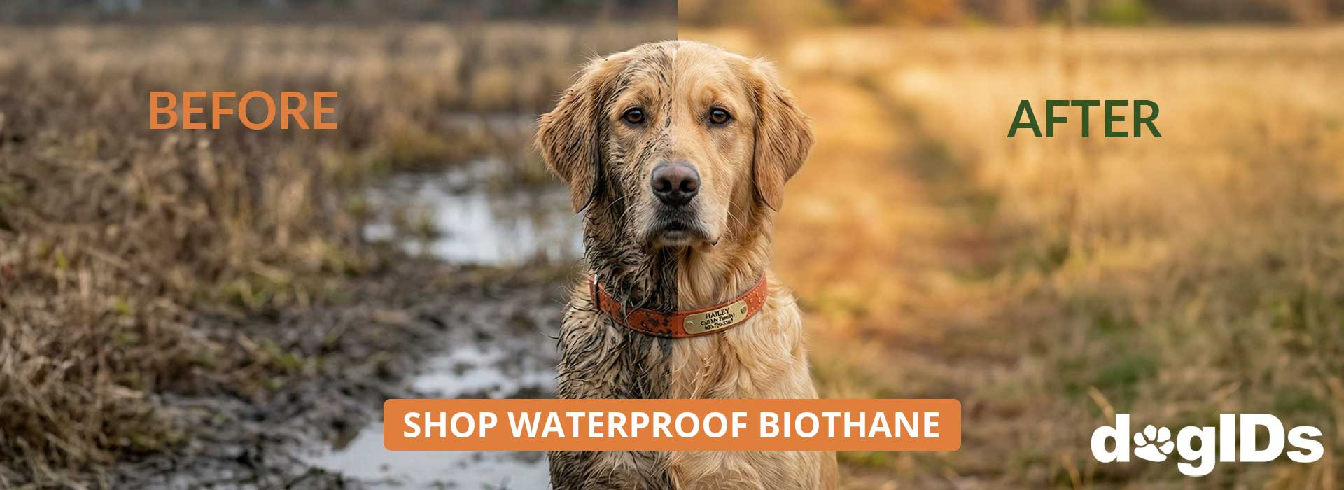 Shop Biothane Waterproof Dog Collars