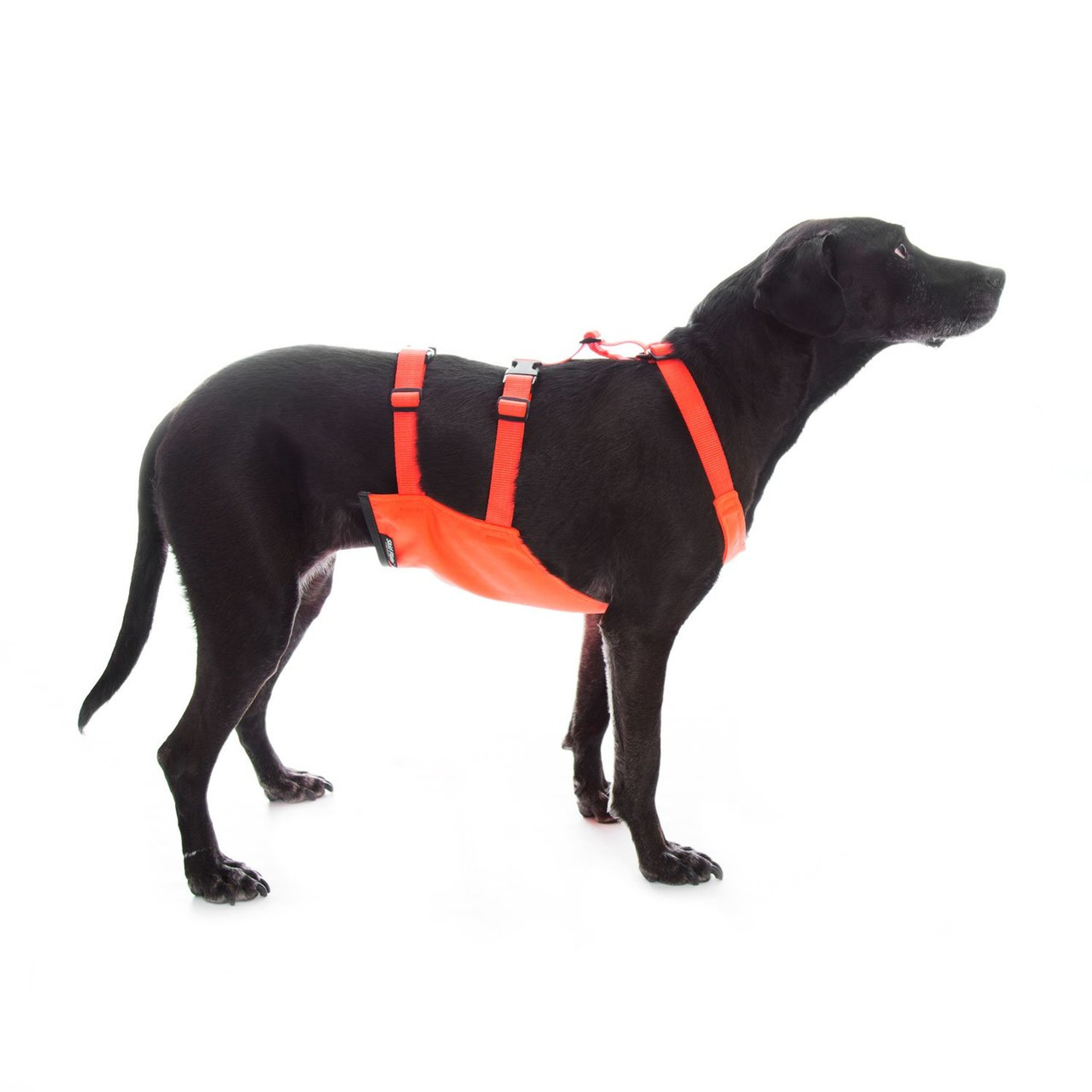 Mendota Chest Protector for Dogs dogIDs