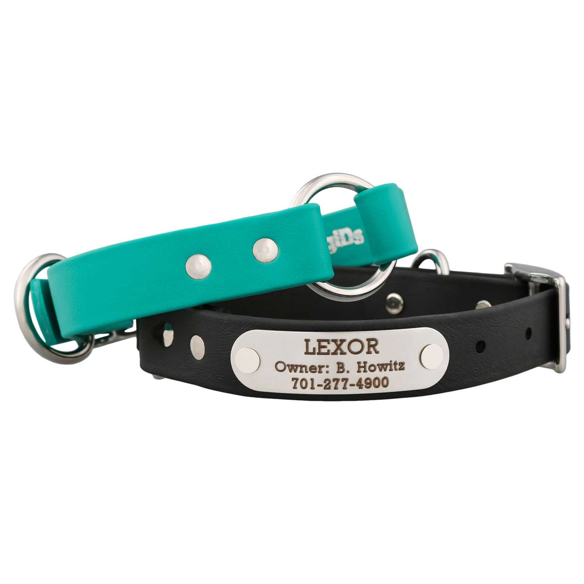 Leather dog collars shop with name plate