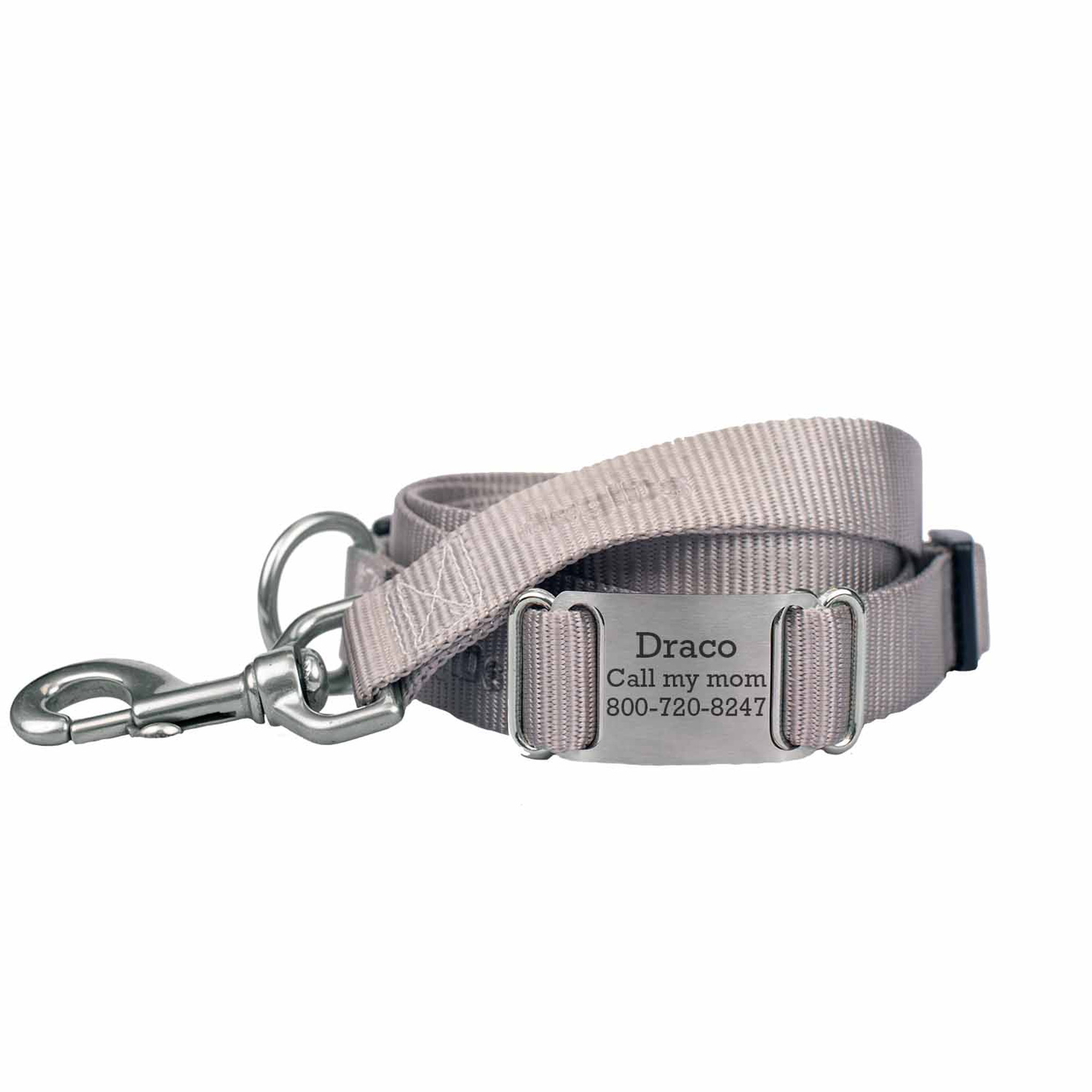 Grey puppy collar sales and lead