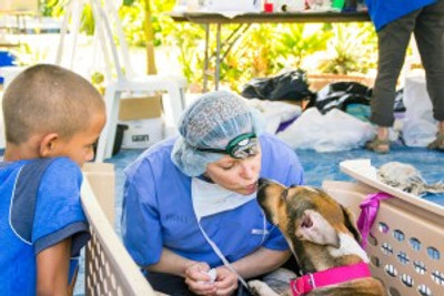 dogIDs Continues to"Paw it Forward" with World Vets