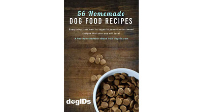 56 Homemade Dog Food Recipes for Your Dogs