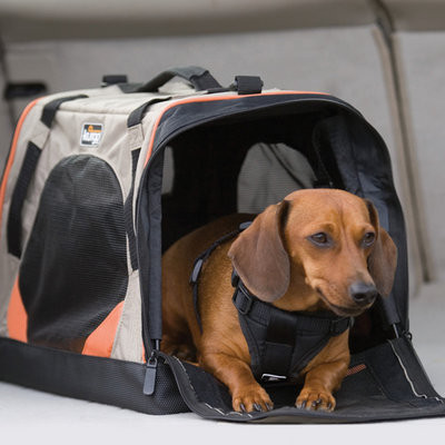 Stop a dog from barking in a kennel