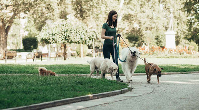 5 Tips for Choosing the Right Dog Sitter