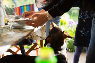 Are Table Scraps O.K. For Your Dog To Eat?