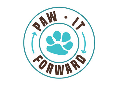 Improving the Lives of Senior Dogs - Paw It Forward