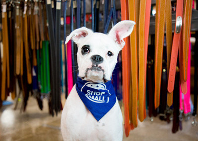 Shop Small this Saturday with dogIDs