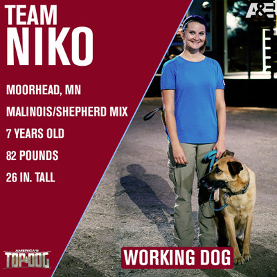 Meet Niko from A&E America's Top Dog