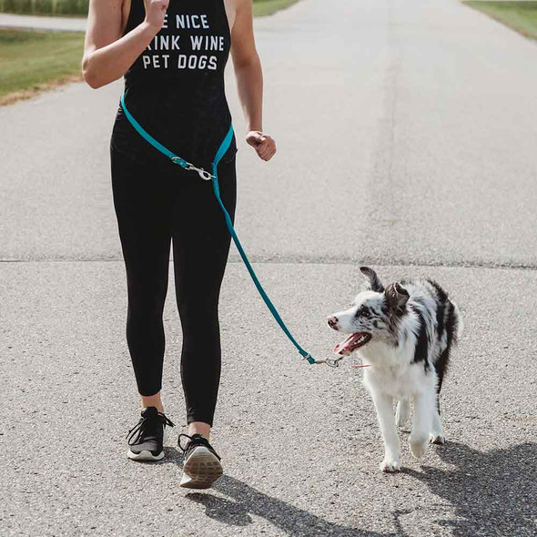 Waterproof Jaeger Lead Running Dog - dogIDs