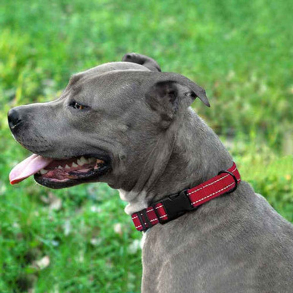 Reflective Nylon ScruffTag Collar on Dog Red Reflective Nylon ScruffTag Collar on Dog Red