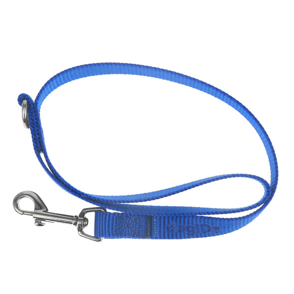 Nylon Traffic Leash Blue
